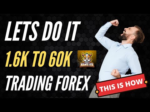 Turn 1.6k to 60k Trading Forex – High Risk Trading with Hamster Scalping Trading Robot