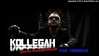 Aks Im Wandschrank Von Kollegah Laut De Song