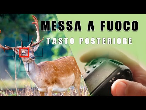 Video: Come scattare con un obiettivo da 50 mm: 14 passaggi (con immagini)