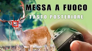 Messa a Fuoco tasto posteriore - Metodo professionale