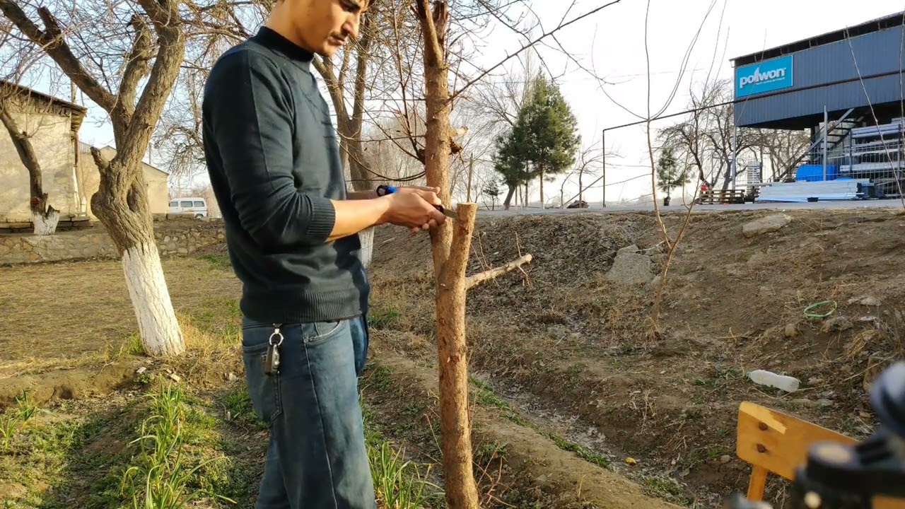 @Talisafet @Payvandlash 