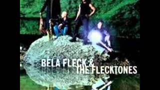 08 - Couch Potato -  Béla Fleck And The Flecktones