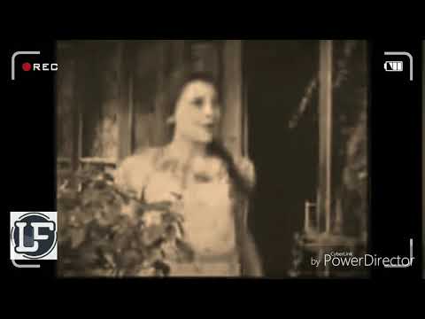 ვანელი შოთა :)