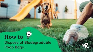 Compostable vs. Biodegradable Dog Poop Bags: Are They Really Eco-Friendly? by Rover 577 views 4 months ago 2 minutes, 36 seconds