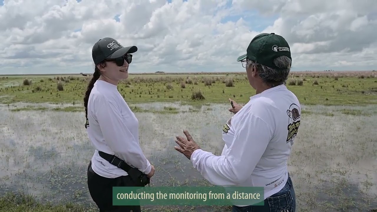 Tortugas Llaneras: Acuerdos para su conservación / Llanos Turtles: Agreements for their conservation