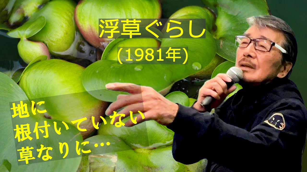 浮草ぐらし」 字幕付きカバー 1981年 吉岡治作詞 市川昭介作曲 都