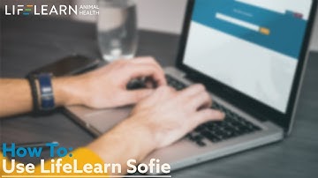 How to use Sofie, your DVM Assistant