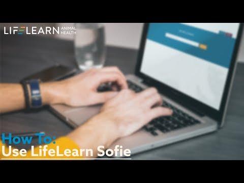 How to use Sofie, your DVM Assistant
