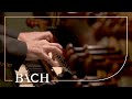 Bach - Prelude and fugue in C major BWV 547 - Van Doeselaar | Netherlands Bach Society