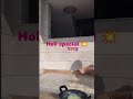 holi papad