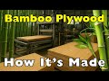 How Is Bamboo Turned Into Plywood? (From Grass to Board!)