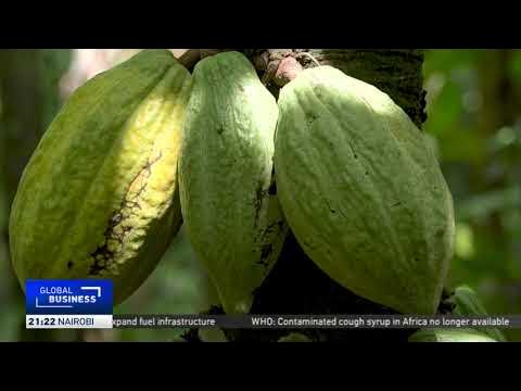 Nigeria aims to ramp up cocoa production amid global shortages