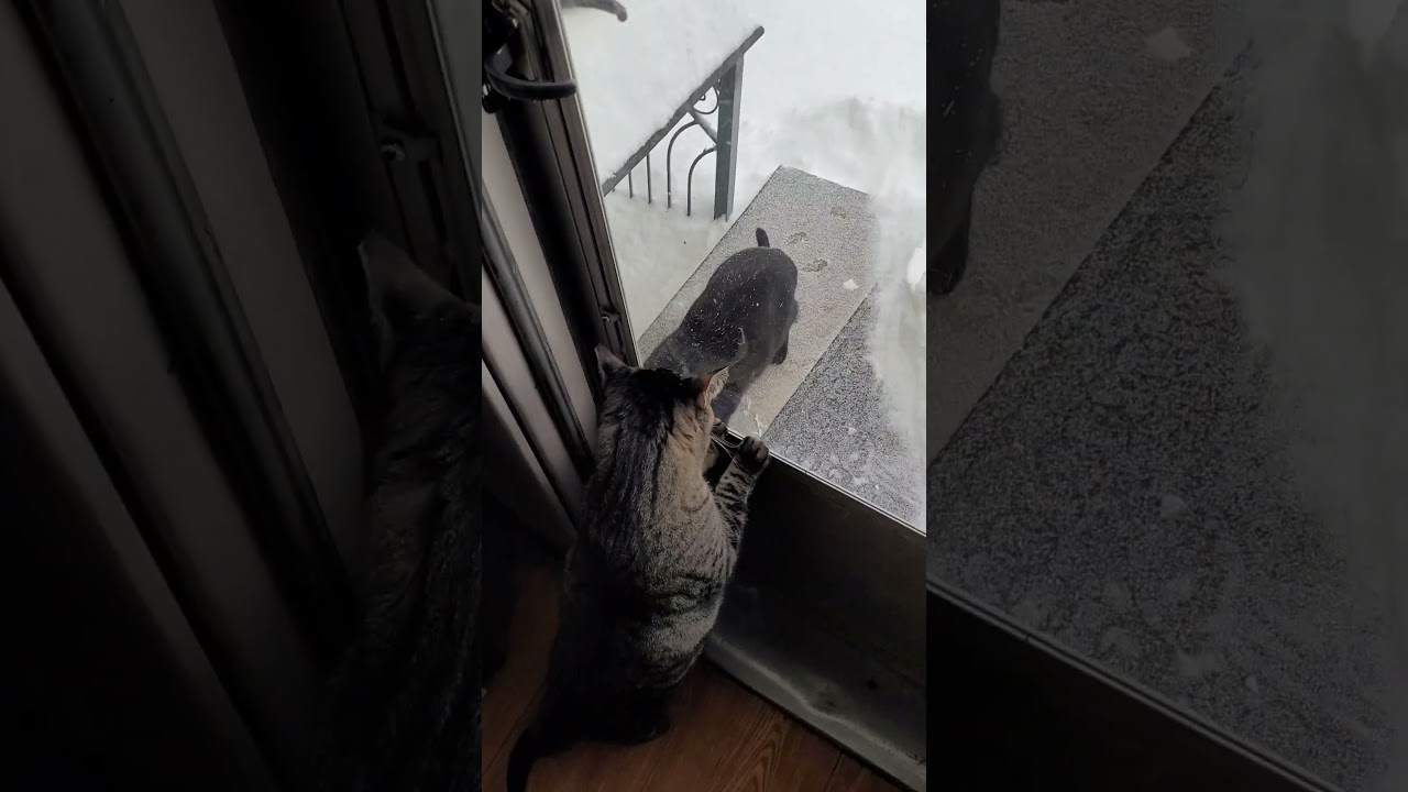 Снежный день в Огайо.