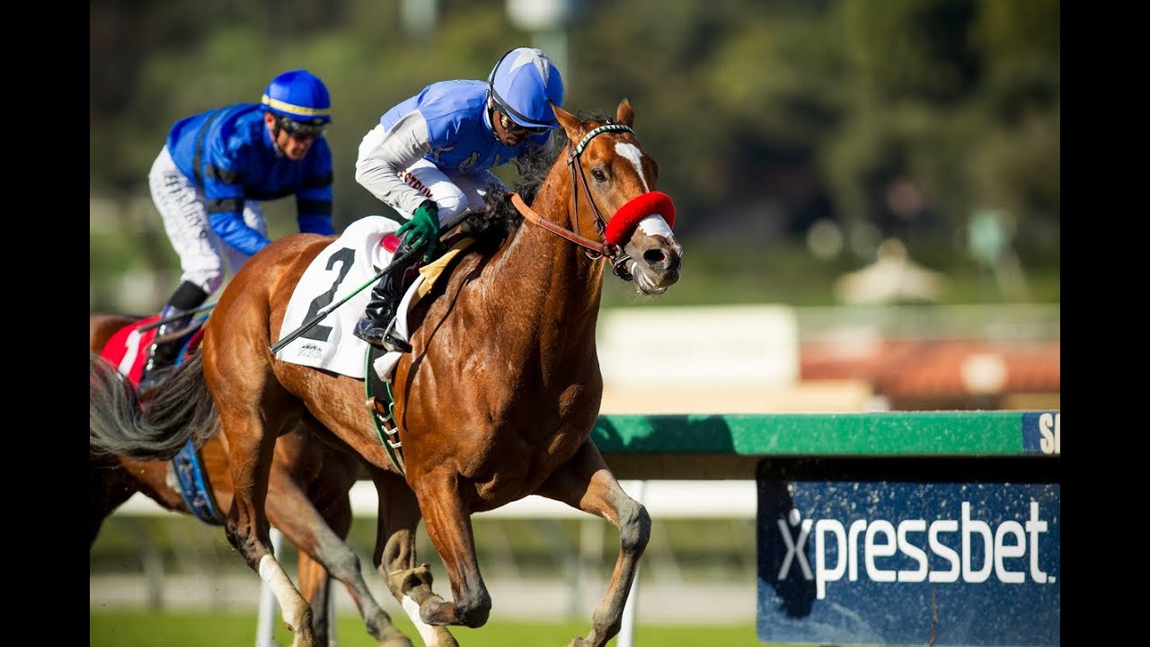 2013 Santa Anita Derby Replay