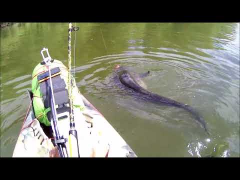 sous les barrages de moselle en Meurthe et Moselle