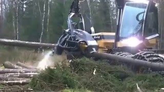 Giant tree cutter, cuts tree in 10 seconds