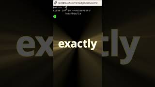Where is that command hiding? #linux #tutorial