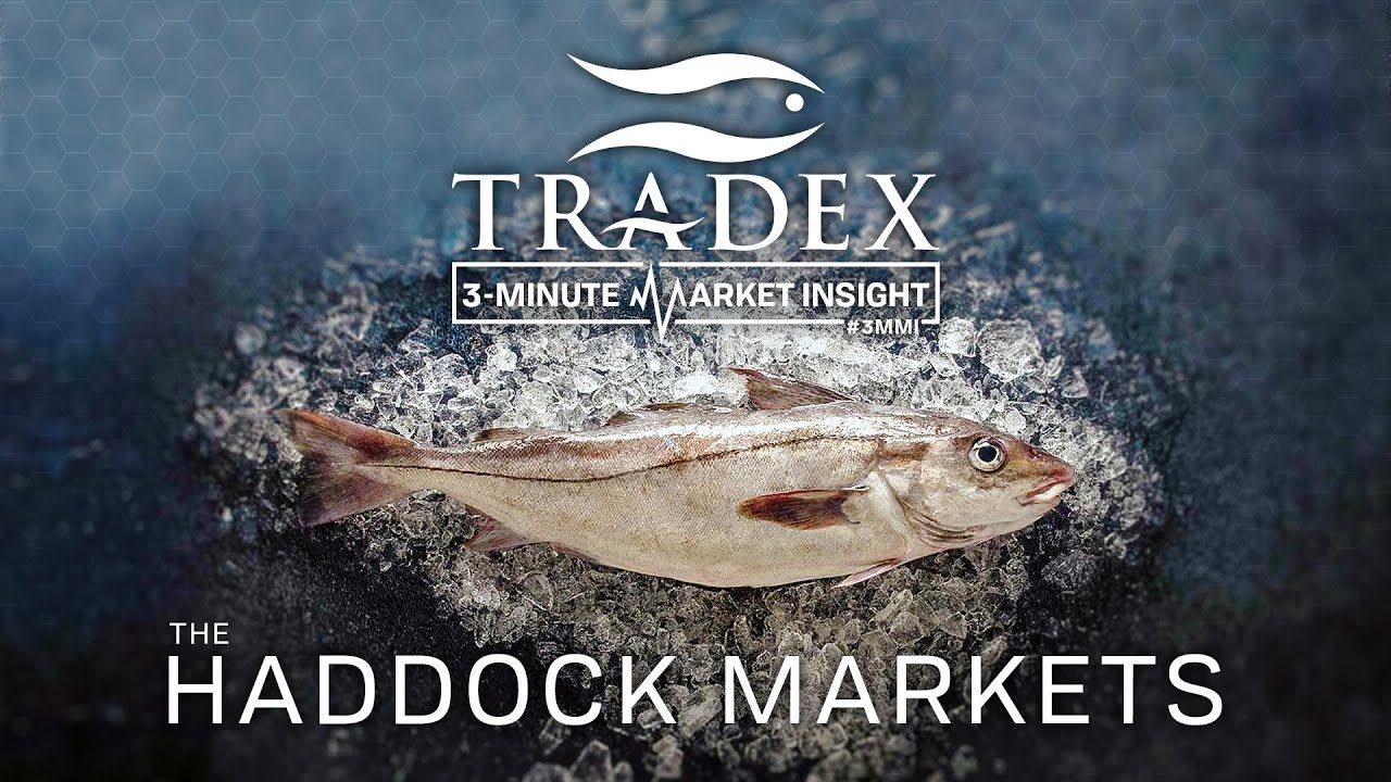 3MMI Where Is The Haddock Market Going This Year? YouTube