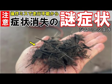 【注意喚起】操作ミスで走行不能に陥ったジムニー　なぜか症状が消えて走行可能になるという謎症状に遭遇