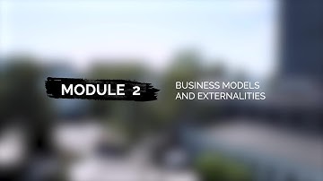 Module 2 Video 2 - Business Models and Externalities