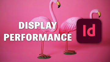 Display performance of an image | Indesign Professional Course