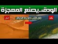 معجزة جديدة في صحراء الجزائر الودق يحول الصحراء الجزائرية إلى جنة معجزة جديدة في صحراء الجزائر الودق يحول الصحراء الجزائرية إلى جنة