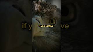 If You Forgive The Fox..