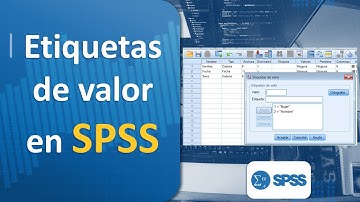 Etiquetas de valor en SPSS