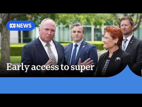 One <strong>Nation</strong> says people struggling should be able to access super early | ABC NEWS