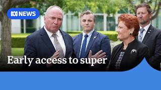 One Nation says people struggling should be able to access super early ABC NEWS