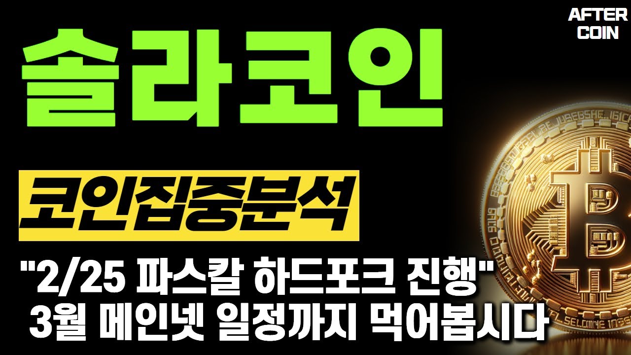 솔라코인 전망] 