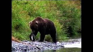 Kodiak Island Uganik Bay