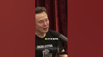 Elon Musk Exposes Biden