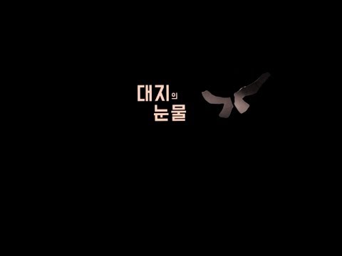 대지의눈물(홍순관)