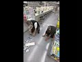 イキりカスしばかれる