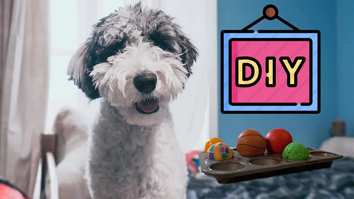 4 EASY DIY Enrichment Toys You Can Make at Home | Home-Made