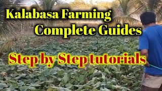 Kalabasa farming complete guides | how to grow squash step by step tutorials