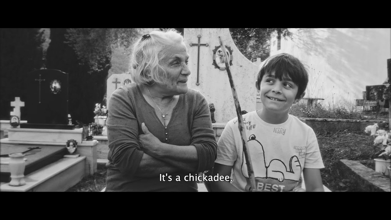 Trailer