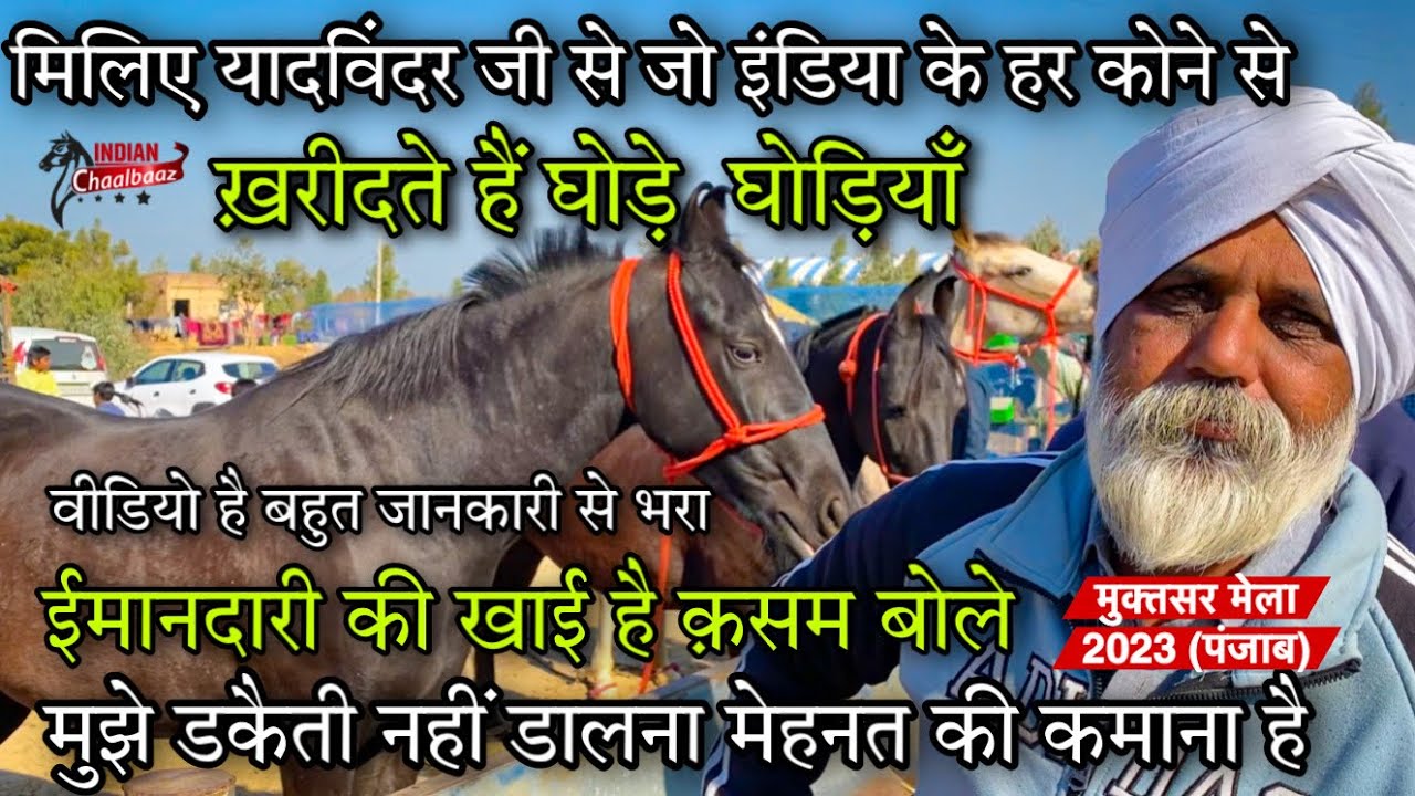यादविंदर जी मेले में लेकर पहुँचे सुंदर घोड़ियाँ ईमानदारी की खाई क़सम 9781389365 Muktsar Mela 2023