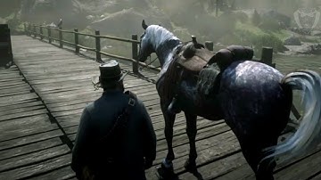 Red Dead Redemption 2 - Random Encounter - Horse Race - Part #1 (PS4)