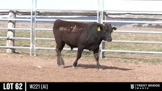 LOT 62  W221 AI