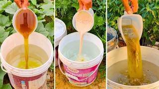 Watch Dead Plants Come Alive! These 4 Microbe-Rich Liquids That Work Magic