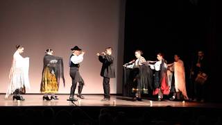 Gran Gala Musical fin de año en Vitigudino