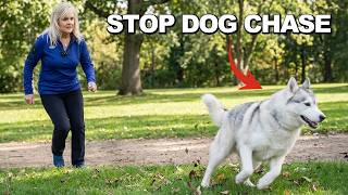 The Right Way to Stop Dogs from Chasing Things (3 Simple Steps)