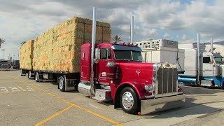 Classy California Hay Truck Compilation At Truckin' For Kids 20162021