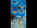 Satisfying Coin Collection so elegant #asmr ❤️❤️😘😍😍😍