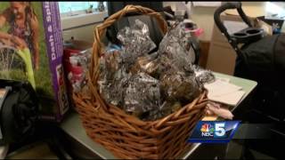 Online auction to support Vermont animals