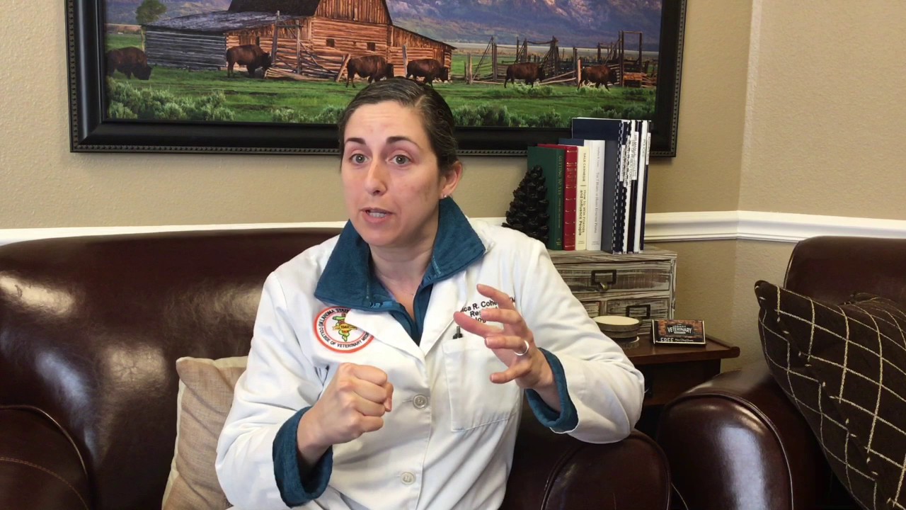 Buster Broke His Hip