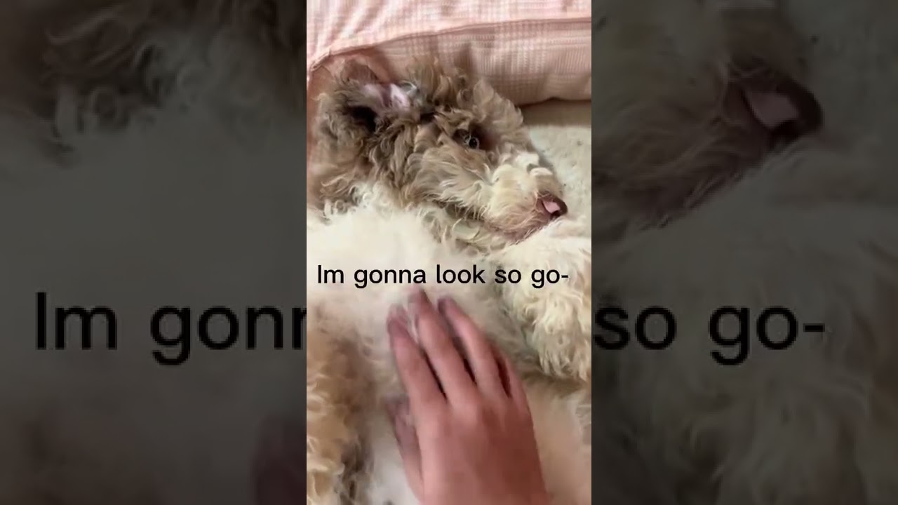 Do you think her new look is good? 