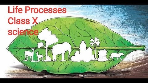 Class X Science 07 10 2020 by Ms Bhanupriya